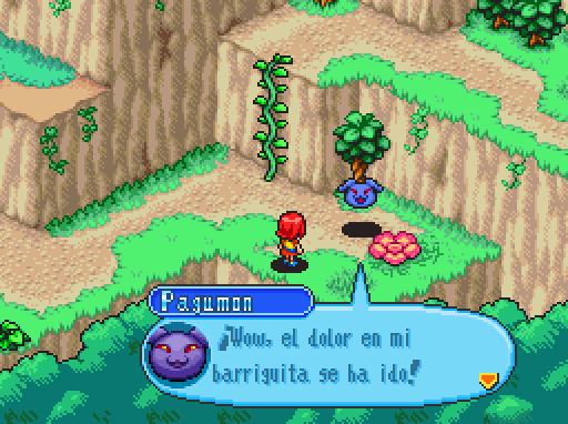 Imagen