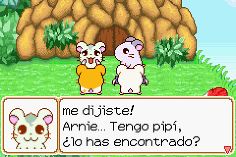 Imagen