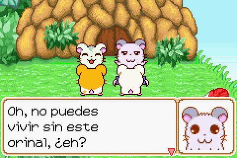 Imagen