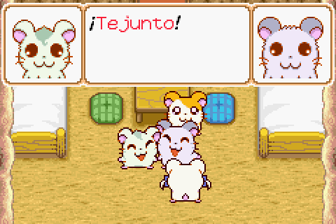 Imagen