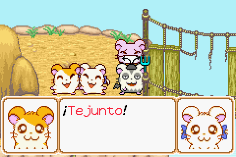 Imagen