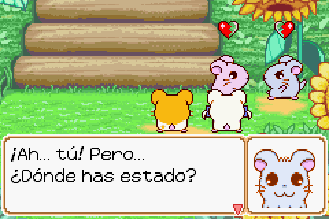 Imagen