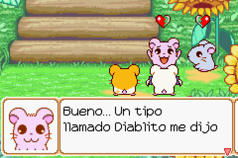Imagen
