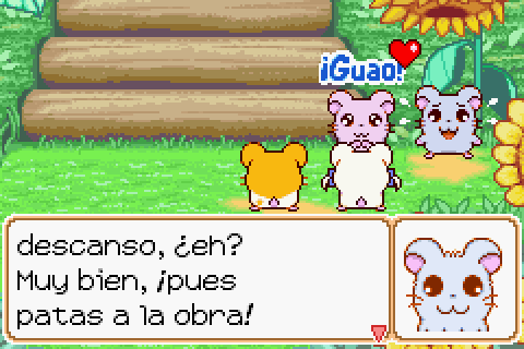 Imagen