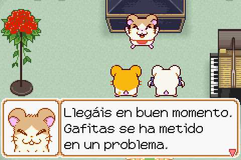 Imagen