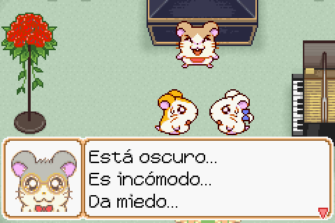 Imagen