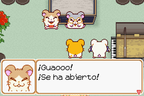 Imagen