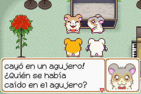 Imagen