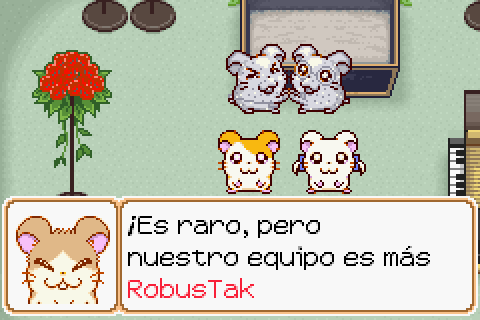 Imagen