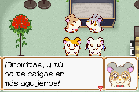 Imagen