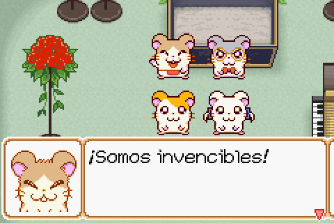 Imagen