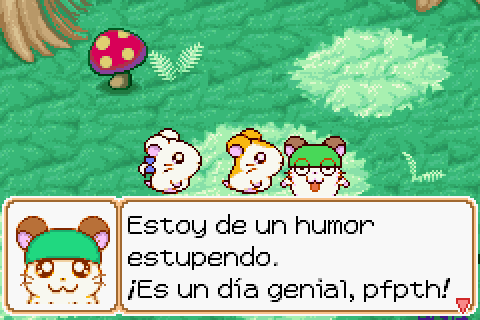Imagen
