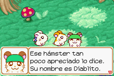 Imagen