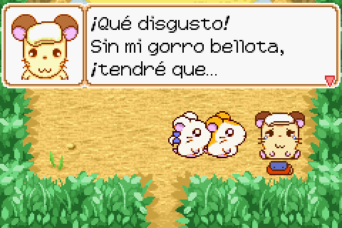 Imagen