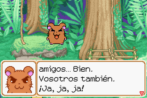 Imagen