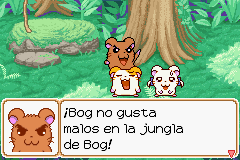 Imagen