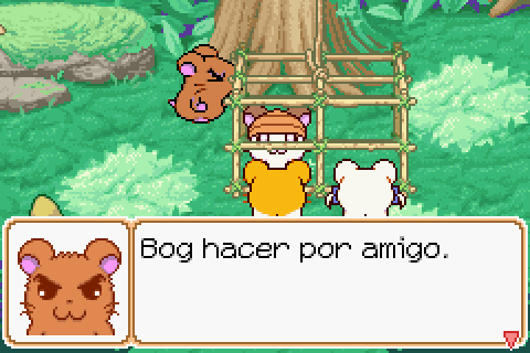 Imagen