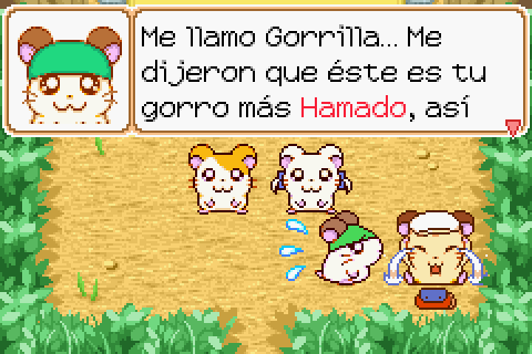Imagen