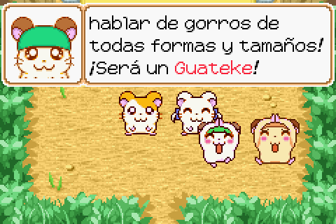 Imagen