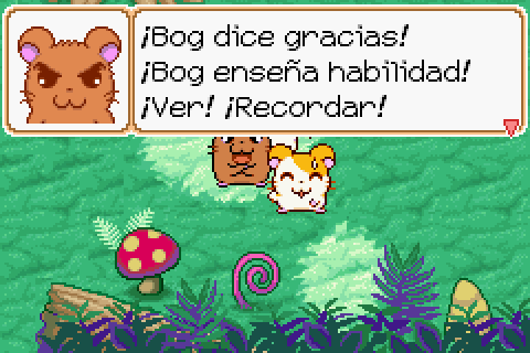 Imagen