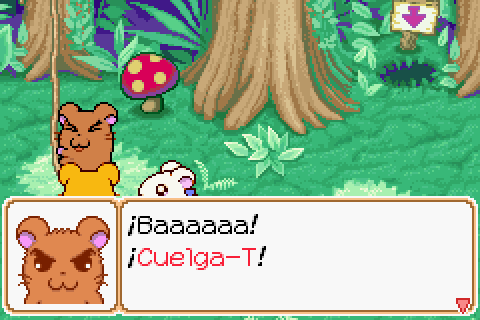 Imagen
