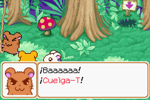 Imagen