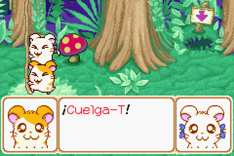 Imagen