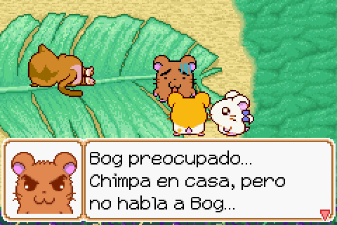 Imagen