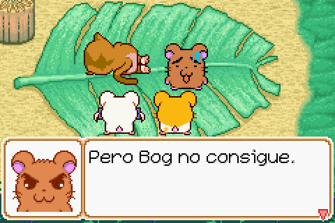 Imagen