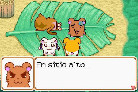 Imagen