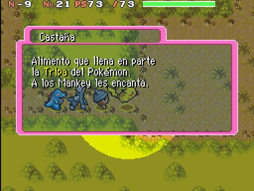 Imagen