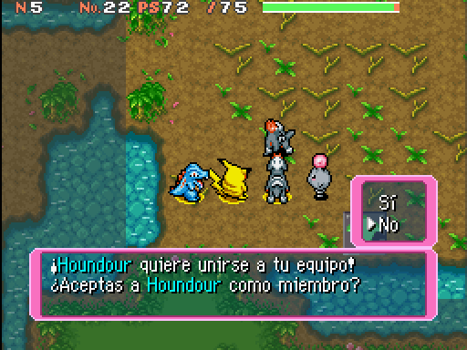 Imagen