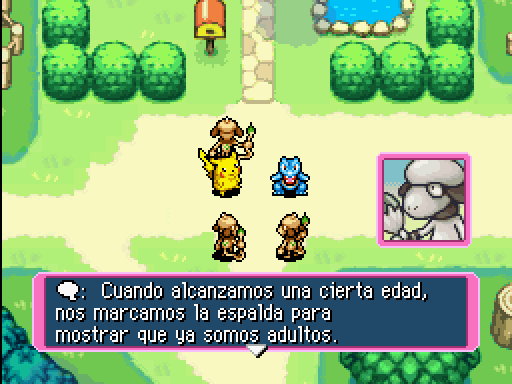 Imagen