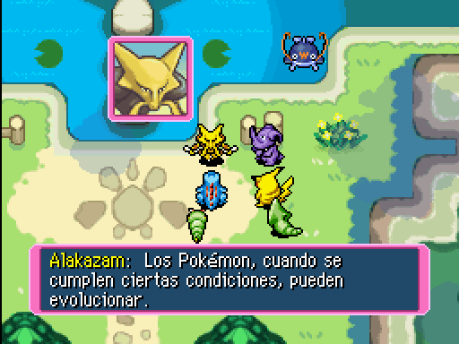 Imagen