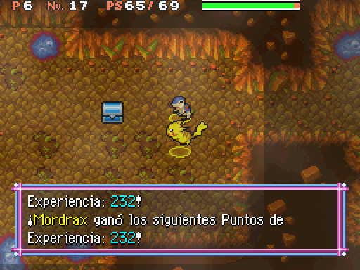 Imagen
