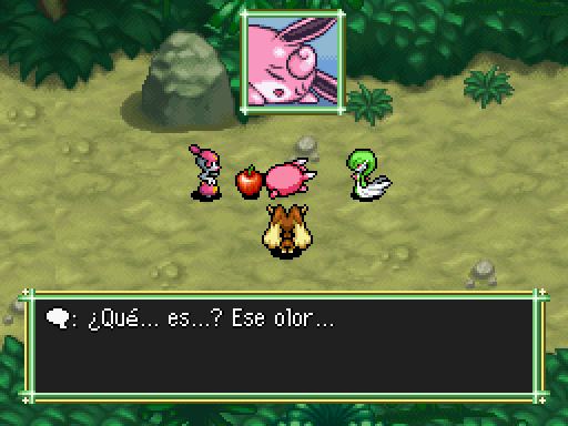 Imagen