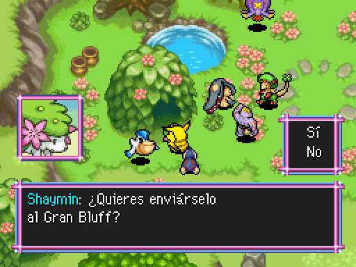 Imagen